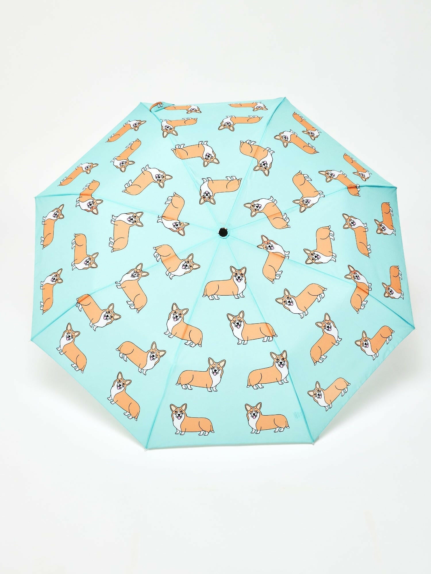 duckhead-the-duckhead-corgi-mint-taschenschirm-mint image 4