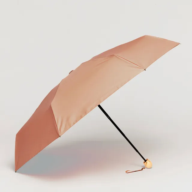 duckhead-the-mini-mocha-mousse-minischirm-ultrakompakt-holzgriff image 1