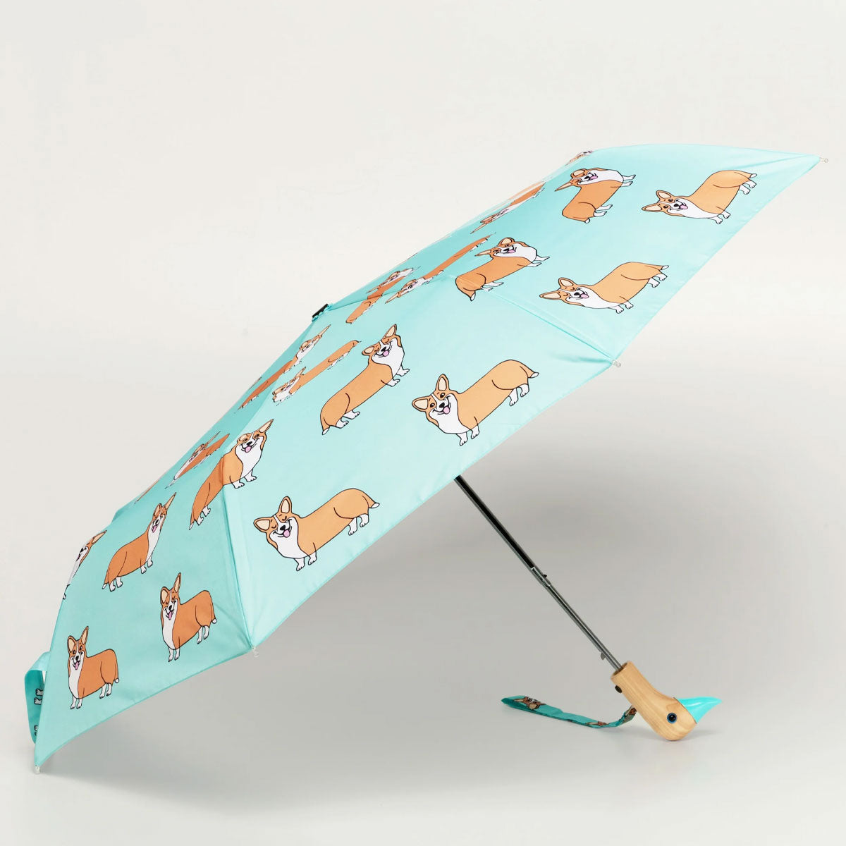 duckhead-the-duckhead-corgi-mint-taschenschirm-mint image 1