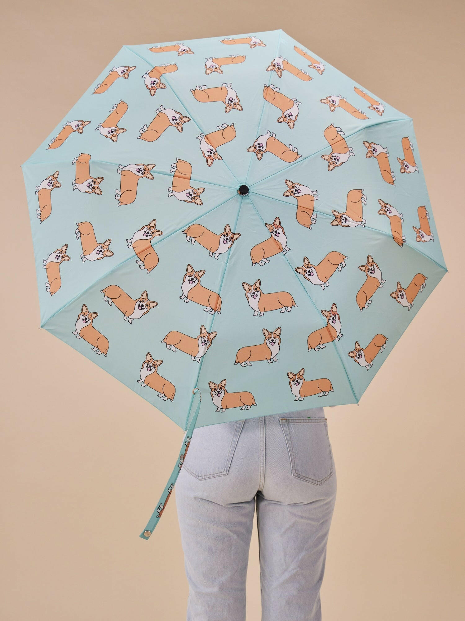 duckhead-the-duckhead-corgi-mint-taschenschirm-mint image 2