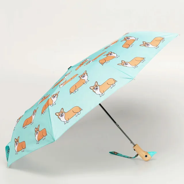 duckhead-the-duckhead-corgi-mint-taschenschirm-mint image 1
