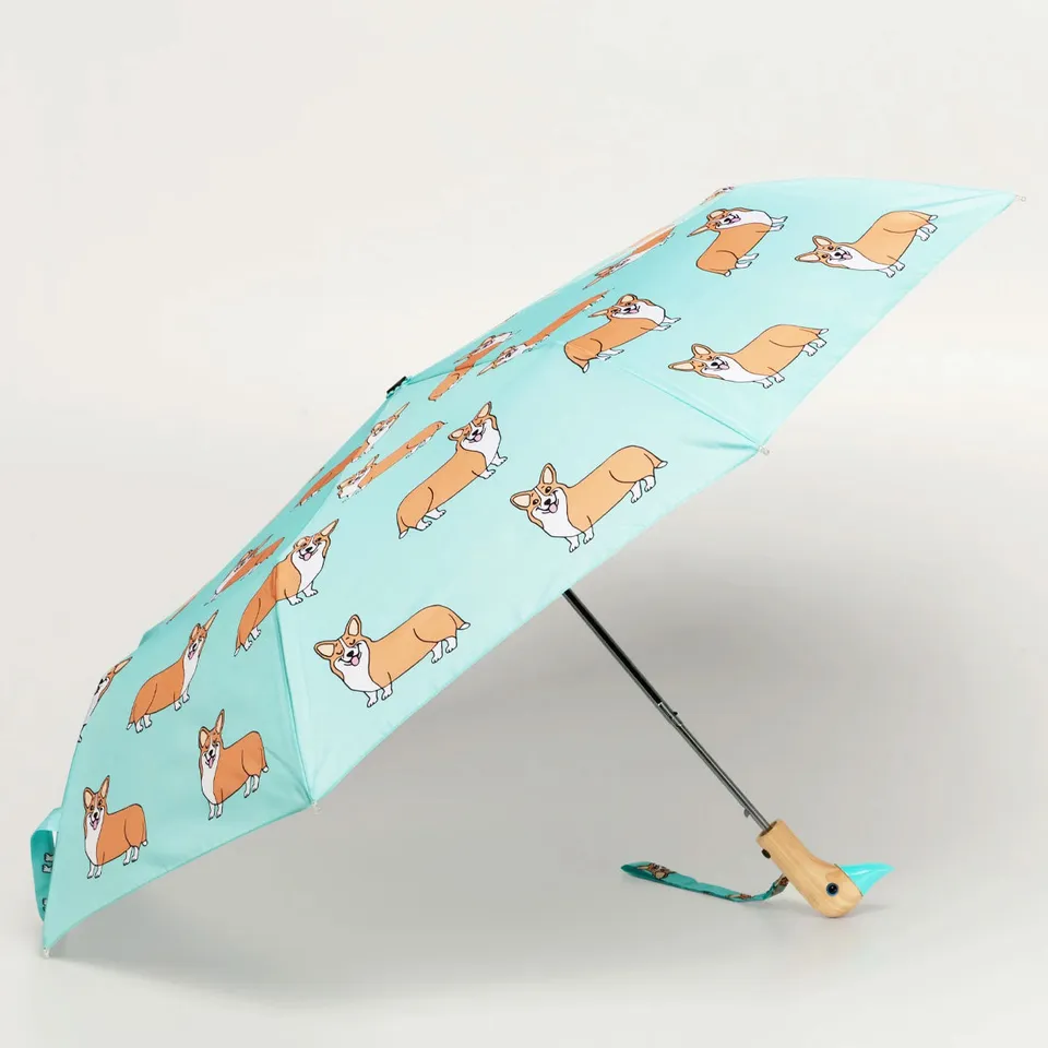 duckhead-the-duckhead-corgi-mint-taschenschirm-mint image 1