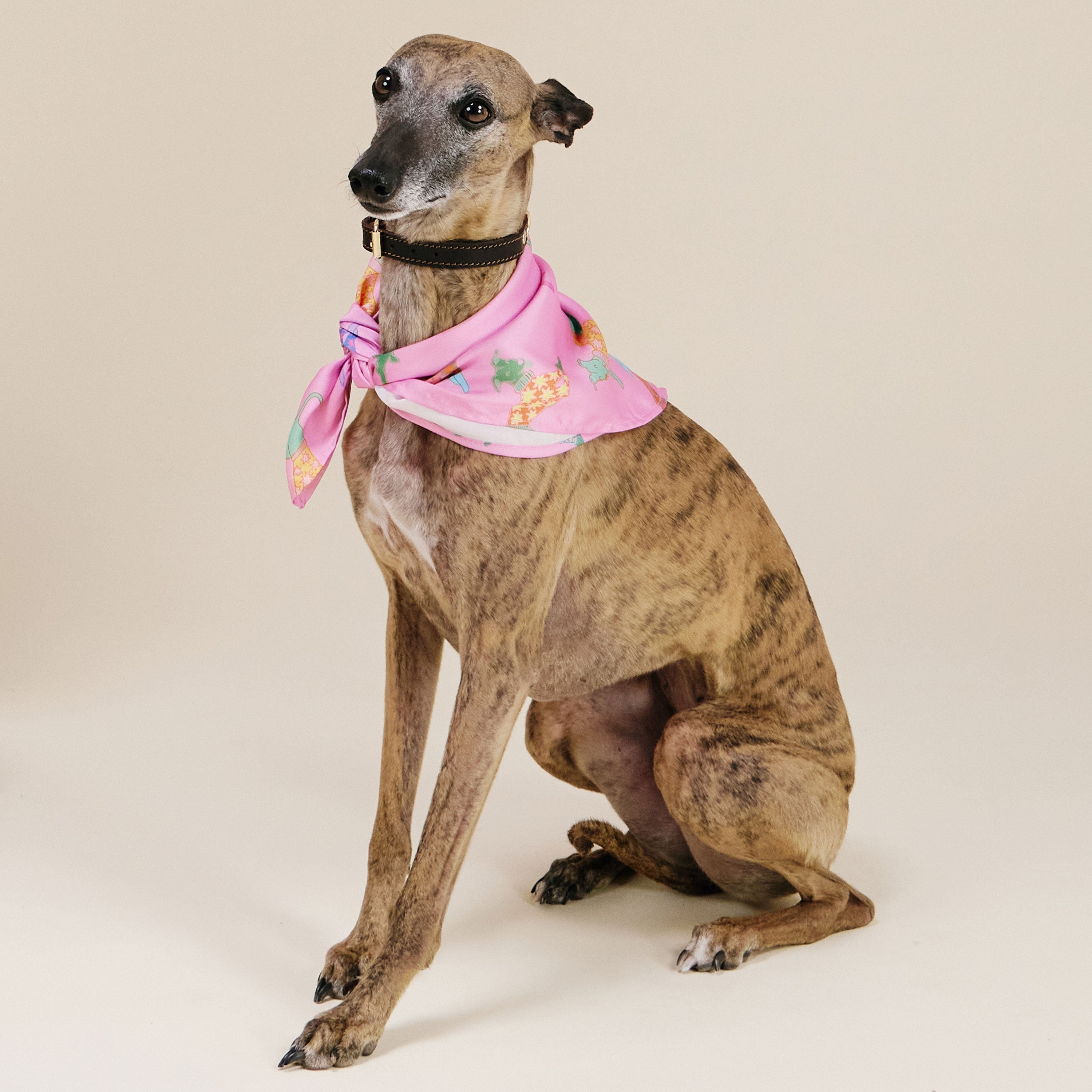 duckhead-dog-bandanas-dogs-in-pink-hundehalstuch-rosa image 4