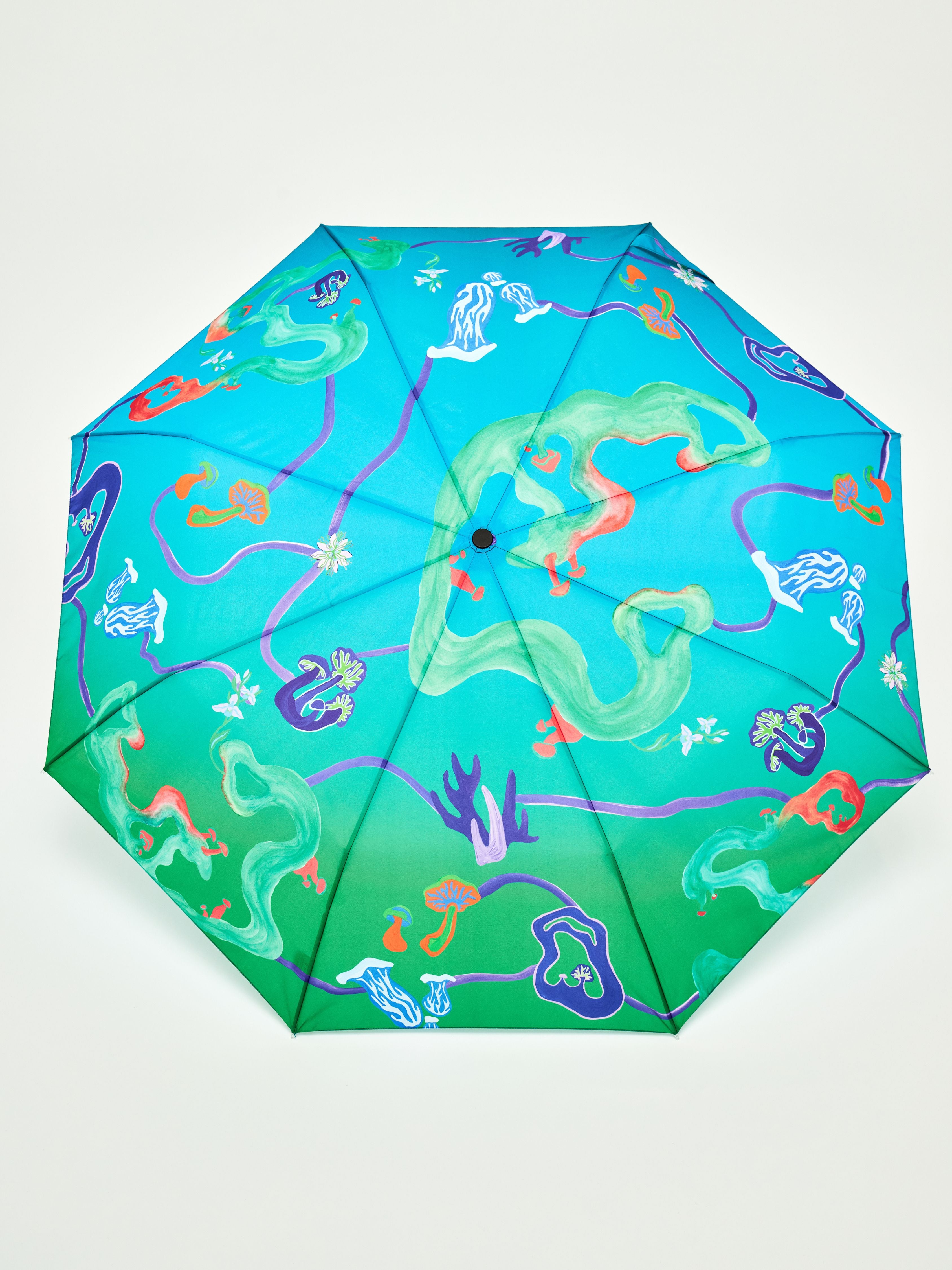 duckhead-aqua-fungi-regenschirm-taschenschirm-pilze-teal image 3