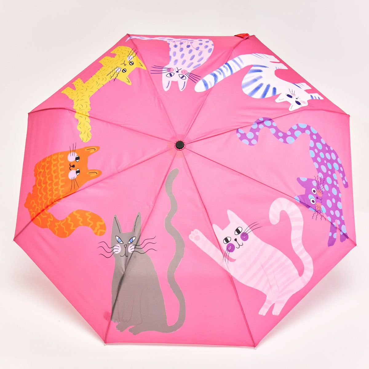 duckhead-arty-cats-regenschirm-fuchsia-katzen-holzgriff image 5