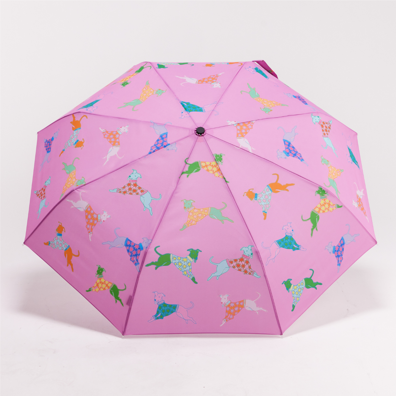 duckhead-dogs-in-pink-bundle-regenschirm-set-whippet-rosa-3-teilig image 4