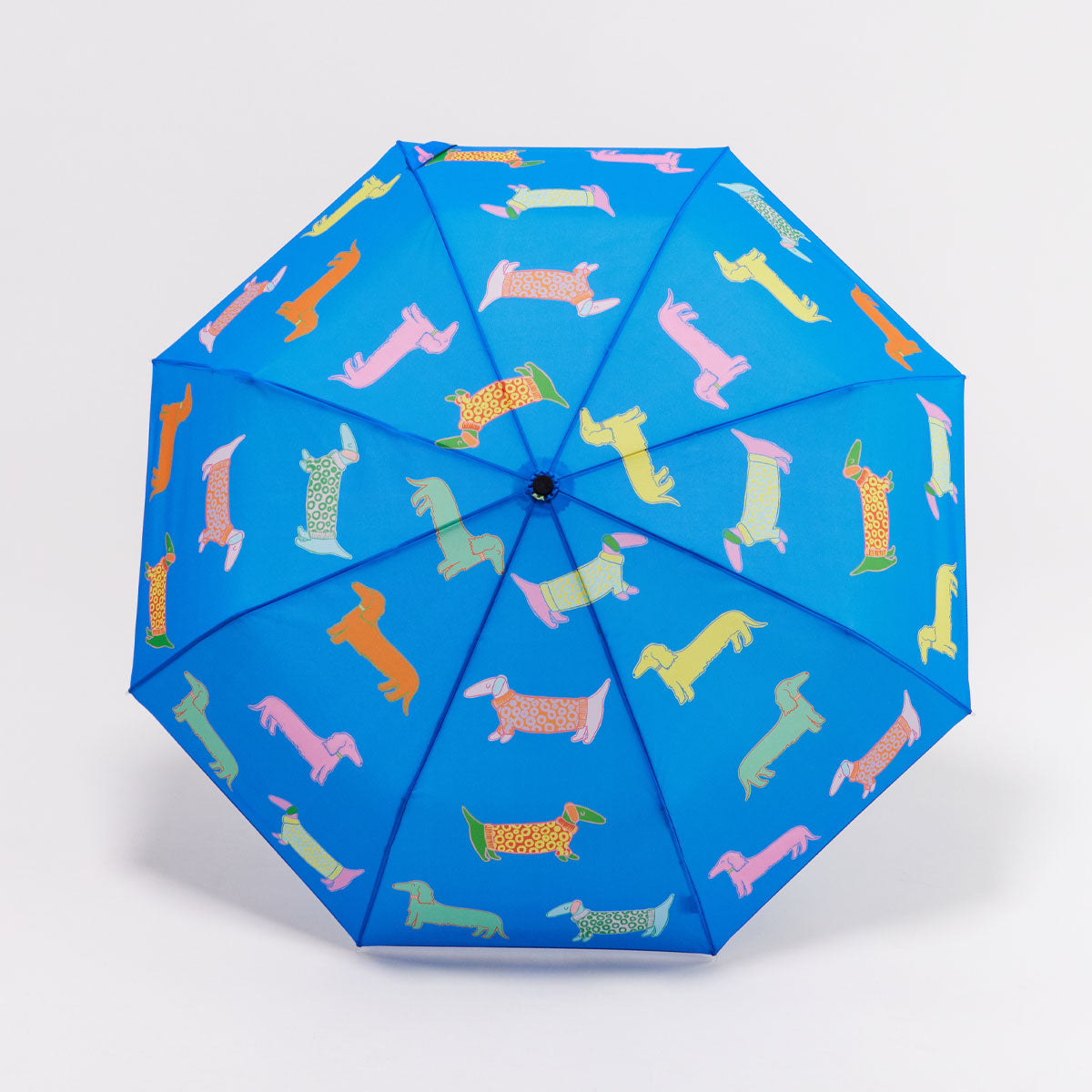 duckhead-bundles-dogs-regenschirm-2er-set-dackel-whippet image 3