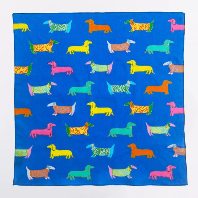 duckhead-dog-bandanas-hundetuch-dogs-in-blue-blau image 1
