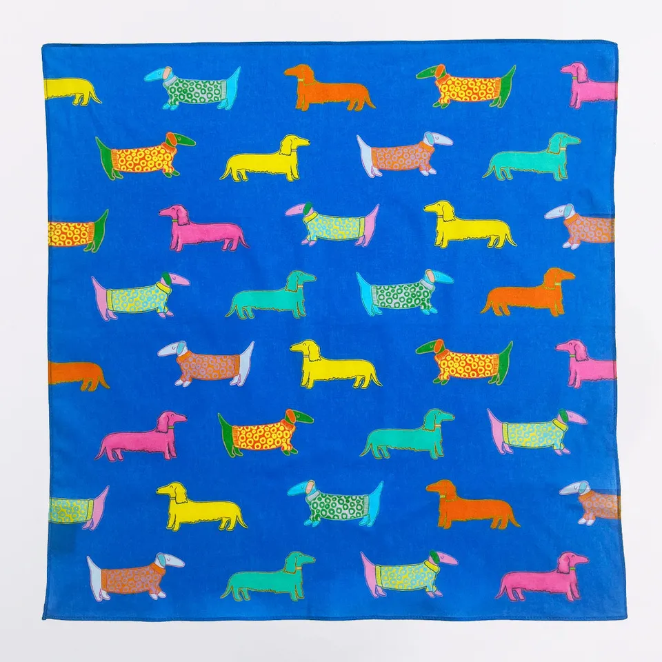 duckhead-dog-bandanas-hundetuch-dogs-in-blue-blau image 1